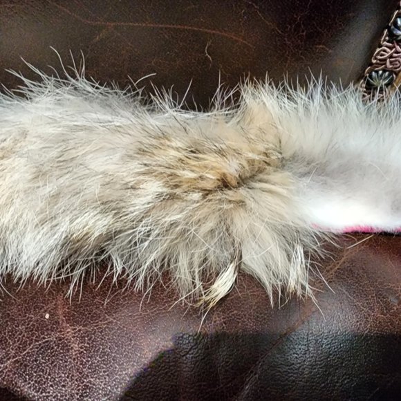 Canada goose Jacket - Picture 10 of 15